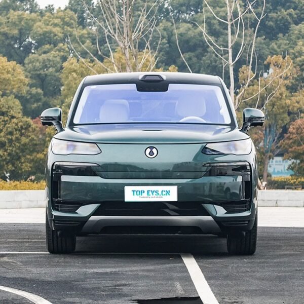 Denza N9 DM 2026 – Buy Direct From China | Chinese Ev Cars in Egypt