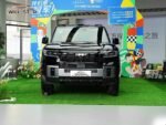 Formula Leopard 8 – For Sale From China  | Chinese Ev Cars in Egypt - Image 9