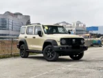 Tank 300 2025 Model 2.0T Conqueror – For Sale From China  | Chinese Ev Cars in Egypt - Image 5