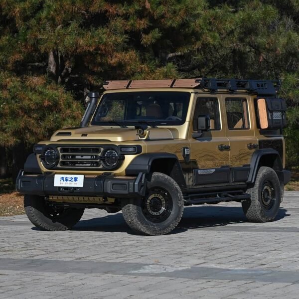 Baic/BAW 212 T01 – For Sale From China | Chinese Ev Cars in Egypt