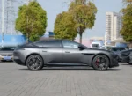 AVATAR 12 – For Sale From China  | Chinese Ev Cars in Egypt - Image 10